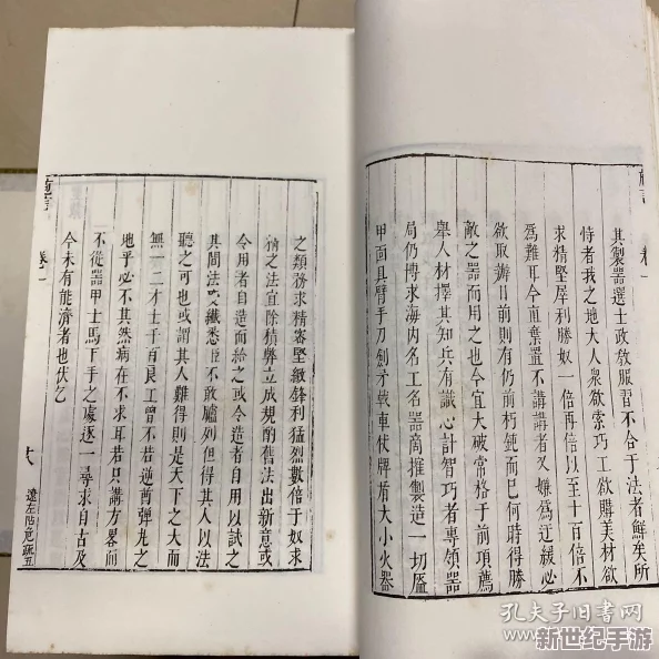 丰年经的继拇中文与其他版本差异：传说中古籍背后的神秘故事，竟隐藏着不为人知的历史秘密！