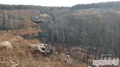 东北大坑原始欲乱：传闻当地出现神秘失踪事件，村民纷纷聚集讨论背后真相与古老传说！