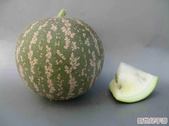 一小时人生游戏内染料制作方法详解：轻松染色墙壁与衣物，打造个性化生存空间