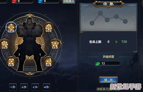 大武当之剑深度解析：经脉系统全面攻略，揭秘突破升级技巧与策略