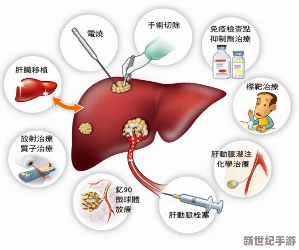 办公室强肝最后谁最厉害？职场人士分享养肝秘籍与健康生活方式的真实体验与对比分析