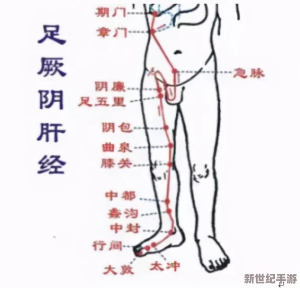 办公室强肝最后谁最厉害？职场人士分享养肝秘籍与健康生活方式的真实体验与对比分析
