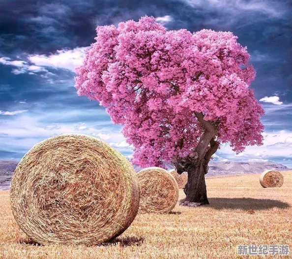 火影忍者手游忍传玩法深度解析：无法感悟问题全面剖析与解决策略