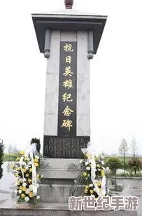 航海王燃烧意志：全面解析装备镶嵌与进阶培养技巧攻略