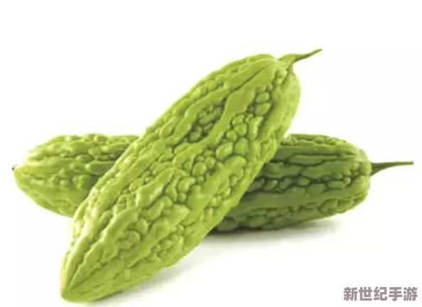 苦瓜网推出全新健康饮食计划，助力用户轻松减肥、提升免疫力，成就美好生活！