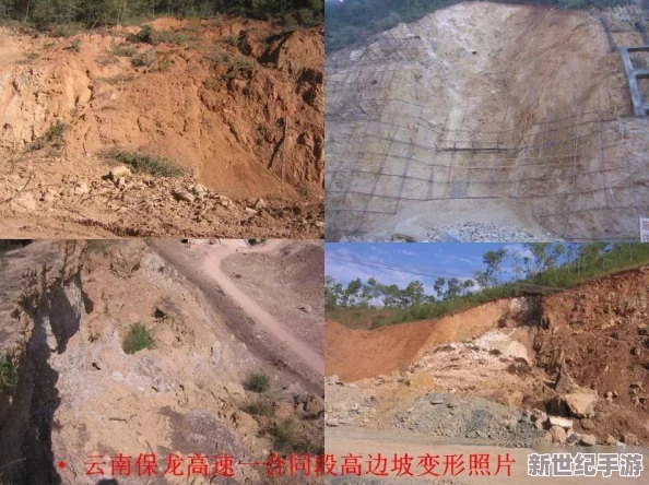 嫩叶草一区二区三区的区别：深入分析不同类型嫩叶草的特性与应用场景，助你更好选择适合的品种