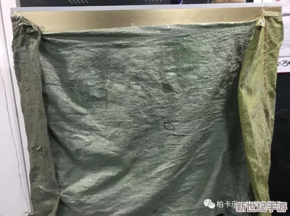 欧美色片第一页：最新动态与热门影片推荐，带你领略不一样的视觉盛宴与精彩故事！