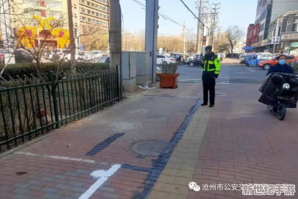 璜铯网站在线：最新动态揭示网络安全隐患与用户隐私保护的重要性，呼吁加强监管措施以维护网络环境