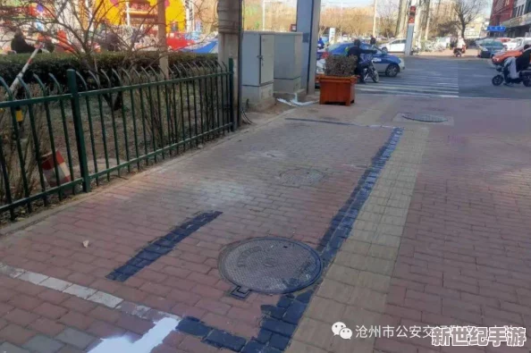 璜铯网站在线：最新动态揭示网络安全隐患与用户隐私保护的重要性，呼吁加强监管措施以维护网络环境