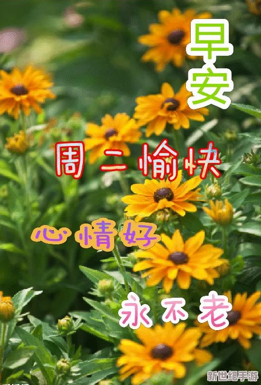 天天干天天爽：最新动态揭示了人们在日常生活中如何保持积极心态与高效工作的秘诀，值得关注与学习