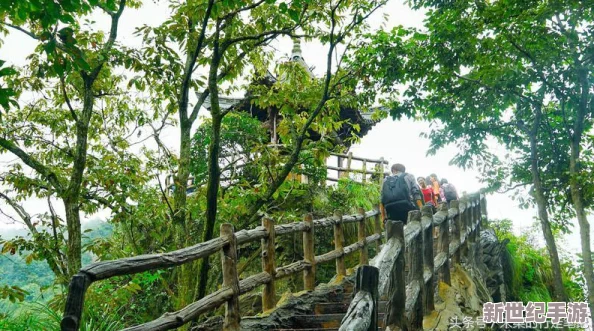 仙境传说手机版全攻略：萌萌坐骑图鉴大汇总，解锁奇幻之旅的必备指南