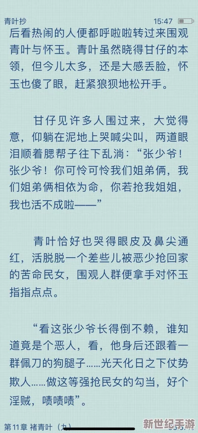 深度解析：我是大官人中的猪八戒角色形象及其属性全面介绍