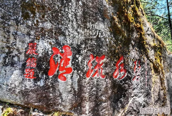 深度解析暴走神仙职业属性与角色特性：全方位属性分析指南