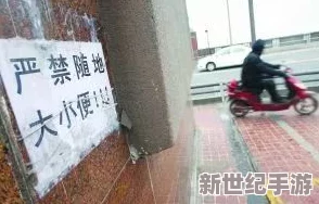 国内盗摄沟厕大屁股撒尿事件引发众怒，网友呼吁加强公共场所隐私保护措施，维护社会文明风尚！