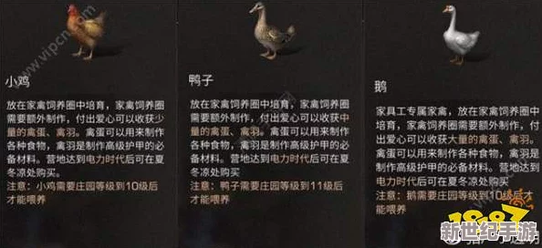 《明日之后》游戏中家禽饲养全攻略：家禽品种特性及高效饲养方法详解