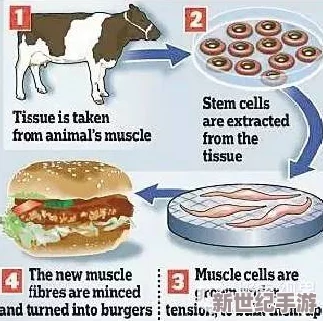 3D打印技术再创新高，全球首个可食用3D打印汉堡问世，引发美食界热议与期待！