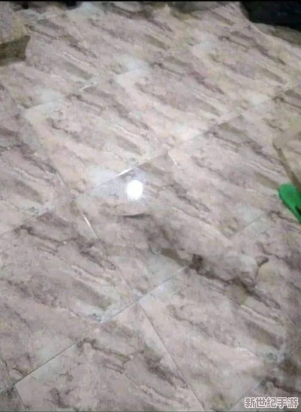 美女写真伦在线播放视频引发热议，网友纷纷表示欣赏其艺术性，同时也对内容的健康性提出了不同看法