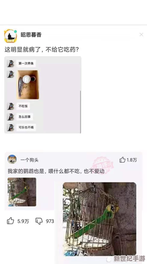 披风少年爱老妈假期回湖南家，温馨团聚时光引发网友热议，感动无数家庭共鸣