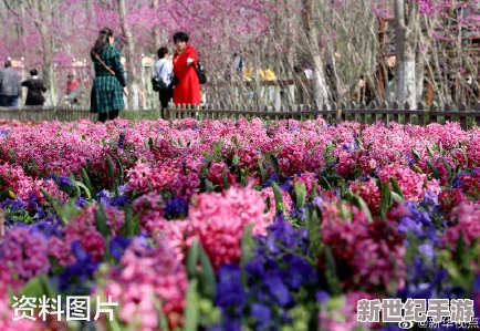 校园春色亚洲色图：绚丽花海与青春活力交织，展现无尽魅力的校园风光！