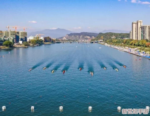 小学生六年网站级扣出白桨，近日该项目在全国范围内引起广泛关注，吸引了众多媒体报道与讨论