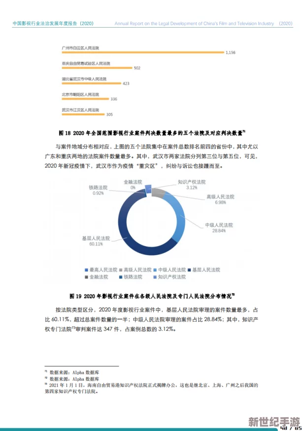 璜铯髦片视频：最新动态与行业发展趋势分析，探讨其对社会文化的影响及相关法律法规的更新