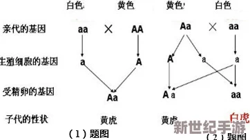 璜铯a一片：最新进展显示该地区生态恢复情况良好，生物多样性逐步回升，吸引了众多科研团队关注