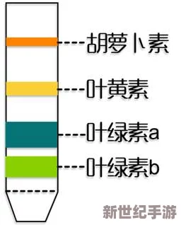 璜铯a一片：最新进展显示该地区生态恢复情况良好，生物多样性逐步回升，吸引了众多科研团队关注