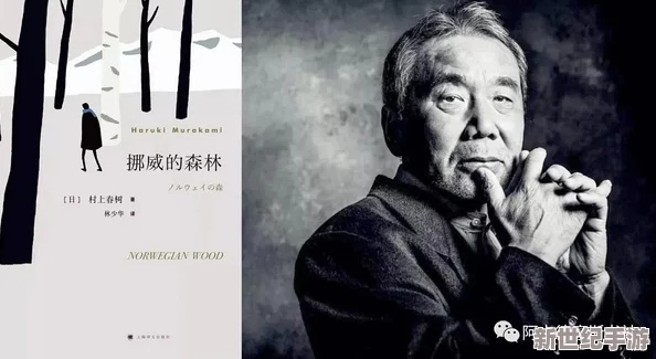 探索欧美强伦在线观看：揭示其背后的文化与社会影响