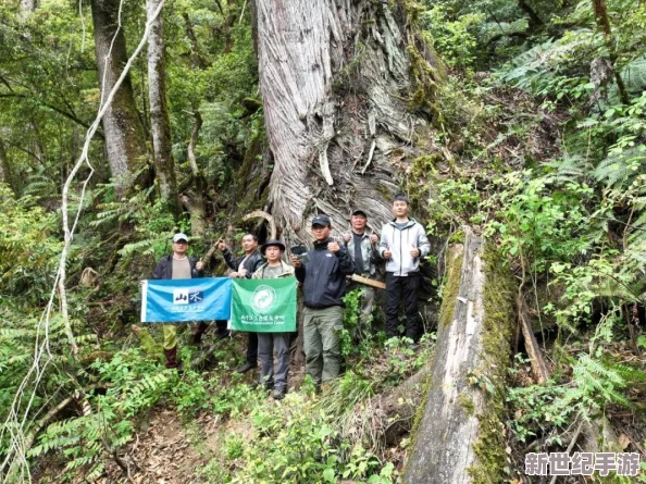 探索亚洲文化的多样性与魅力：从传统艺术到现代生活的精彩瞬间