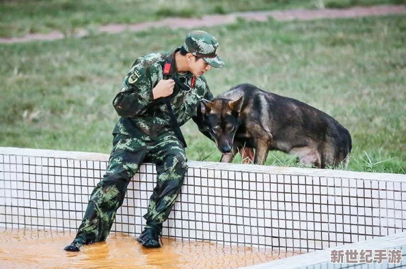 海岛奇兵全新组队模式玩法深度解析视频大爆料，抢先领略团队作战新体验！