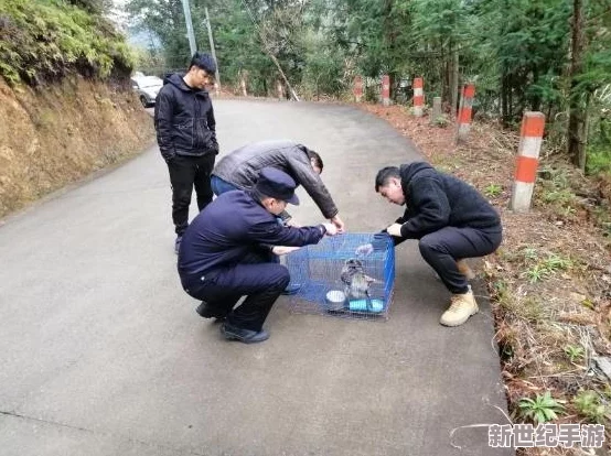 不顾她的挣扎入了进去，背后的真相让人心痛，究竟发生了什么令人震惊的事情？