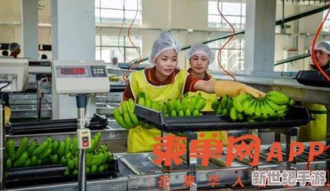 国产一少女级品呐衣倮露视频香蕉国产线看观看:最新进展显示该项目已进入试生产阶段,预计将于年底前正式投产