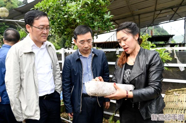 光明勇士游戏中蜂蜜的获取方法与用途详解：怎么获得及蜂蜜能用来做什么