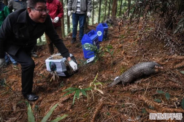 中国城市韩国论理18视频medjyfBD惊现神秘生物，市民目击奇特现象引发热议与恐慌！