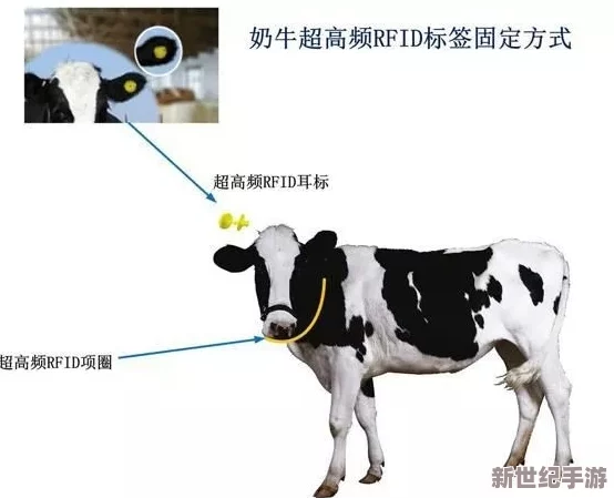 Zookeeper最新农场：探索新型农场管理系统与动物保护措施的创新实践与应用案例分享