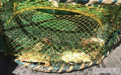 创造与魔法游戏中鲍鱼垂钓地点及作用全面解读与分析