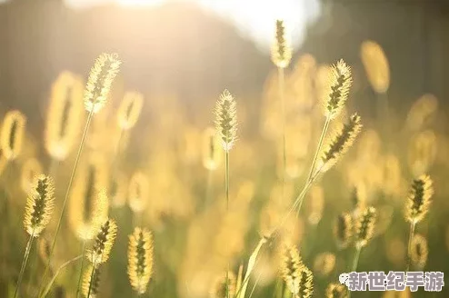 一小时人生：草原生存必备技巧，高效捕捉兔子与野外求生策略