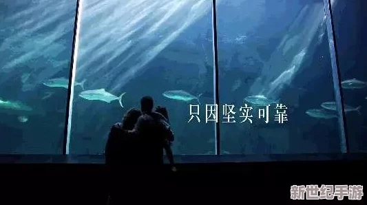 探索免费的靠逼视频资源，畅享无限精彩与乐趣的视听盛宴！