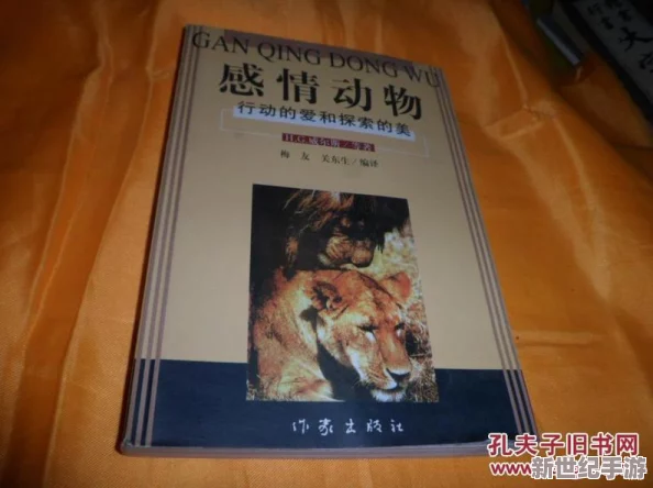 探索四虎激情：在现代社会中如何平衡情感与责任的艺术之旅