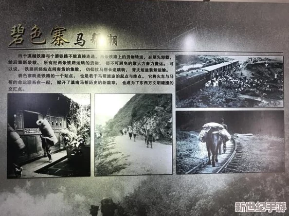探索璜铯一级一髦片的文化背景与社会影响，揭示其在现代娱乐中的角色