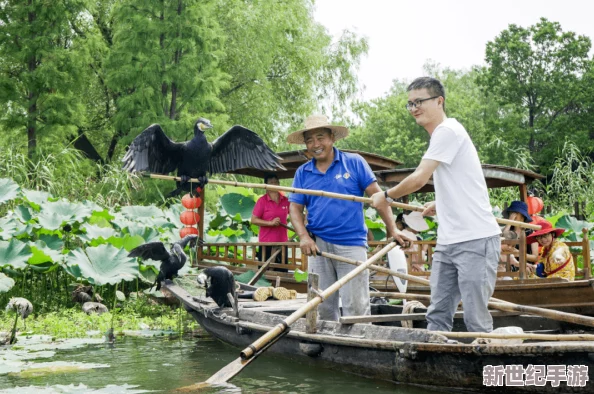 探索亚洲独特的草地文化：从传统到现代的多样视频体验之旅