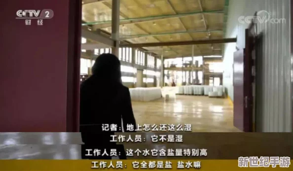 探秘久久女厕：一次看个够的奇妙体验与背后故事