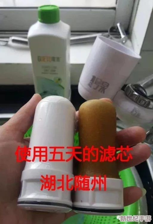 国产精品黄页在线播放免费：最新动态与用户反馈分析，探讨平台内容更新及使用体验的变化情况