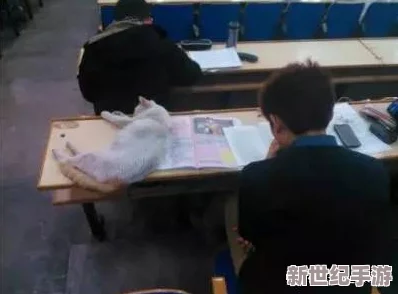 我趁小子睡觉侵犯了她，网友纷纷表示这种行为不可接受，呼吁加强对女性的保护和法律惩罚