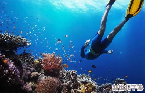 探索亚洲第一社区：文化多样性与现代生活的完美融合之地