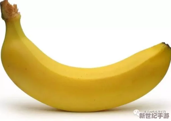 探索久久香蕉国产线看观看式的独特魅力与精彩内容，带你领略不一样的视听体验