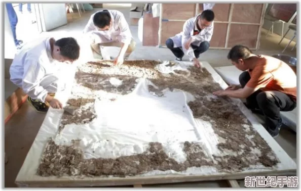 亚洲乱码视频：最新动态揭示了该现象的成因及其对观众体验的影响，引发广泛讨论与关注