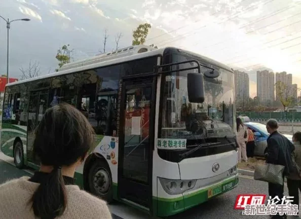 公交车内一次次挺进深处文：近期城市公共交通安全问题引发广泛关注，专家呼吁加强管理与乘客自律