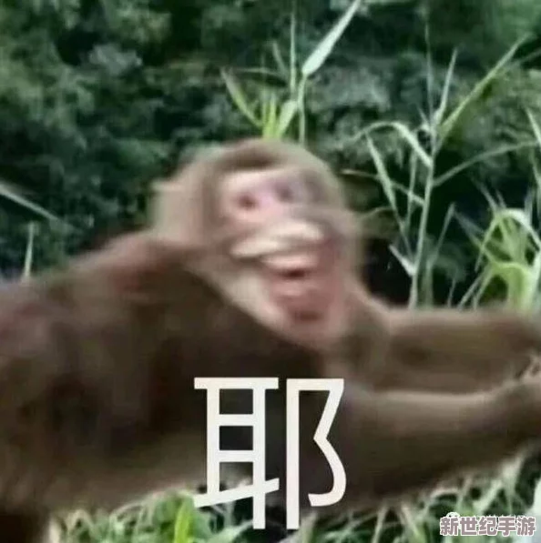 两人生猴子的全过程不盖被子，网友热议：这究竟是出于什么原因？难道是为了追求更真实的体验吗？