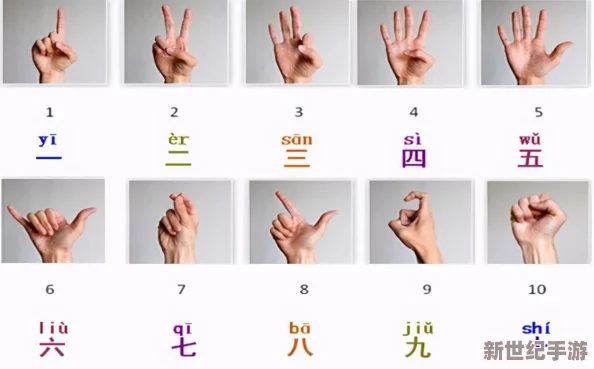 一二三四五六七八：全新动态发布，带你领略数字背后的故事与文化魅力，感受不一样的视角与体验！